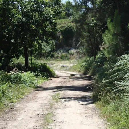 Farmház Quinta Vale Do Nox Serrazes