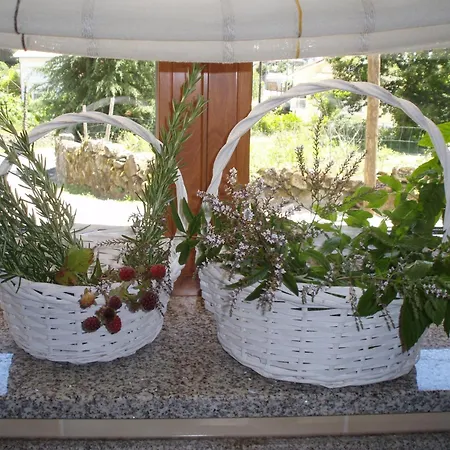 Farm stay Quinta Vale Do Nox *