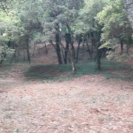 Quinta Vale Do Nox