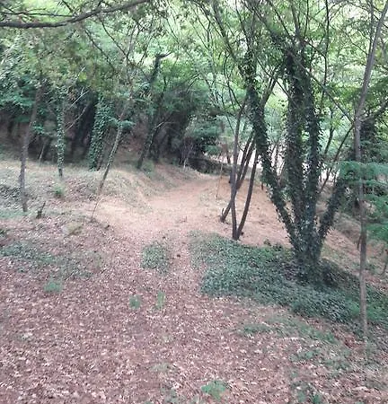 Quinta Vale Do Nox Serrazes