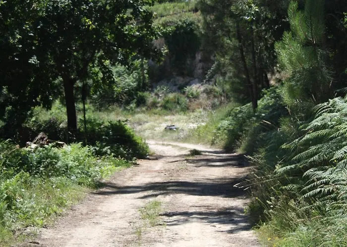 בית חווה Quinta Vale Do Nox Serrazes