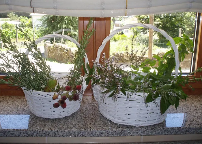 בית חווה Quinta Vale Do Nox *