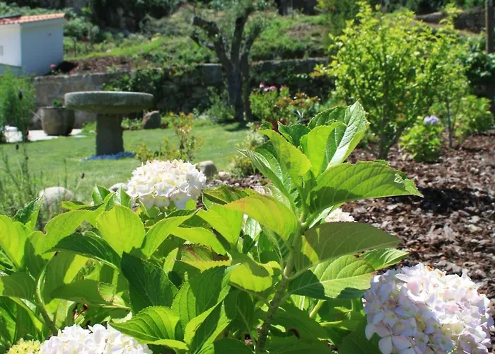 Quinta Vale Do Nox * Serrazes