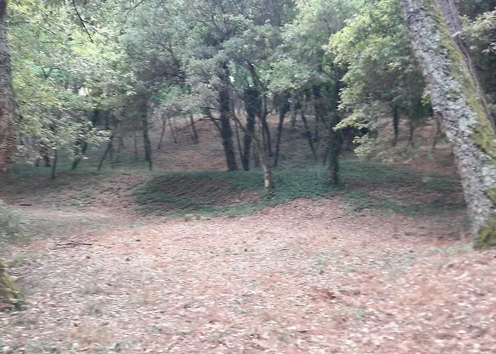 Quinta Vale Do Nox