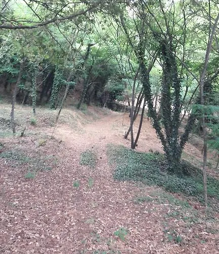 Quinta Vale Do Nox Serrazes